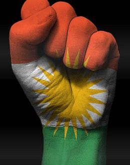 روونکردنەوەی ژمارەی یەکەمی کورد وان ، پلاتفۆرمی نێونەتەوەیی داواکاری و واژۆی کوردستان