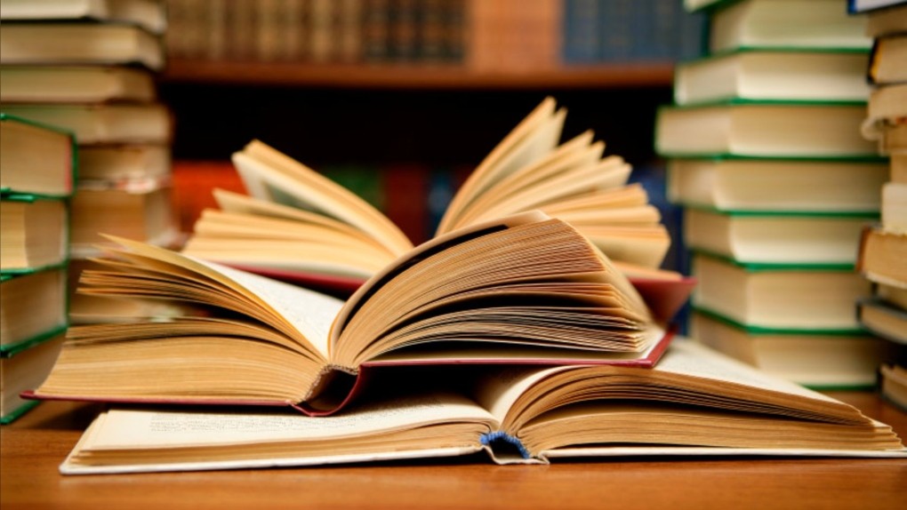 Financial aid for the purchase of 100 books