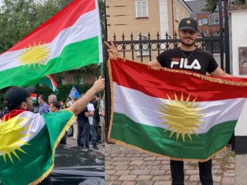 Urgent Appeal: Stop the Deportation of Raman Nasirizadeh