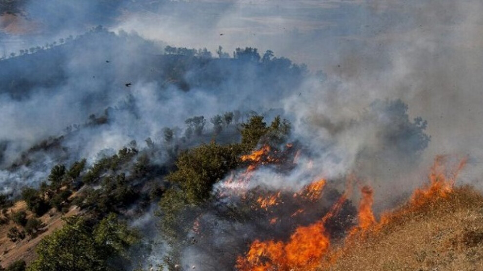 یارمەتی ئابووری بۆ “ئەنجۆمەنی سەوزی چیا”ی ڕۆژهەڵاتی کوردستان